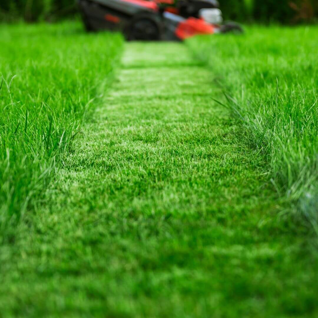 best Lawn Services in Rosemount, MN