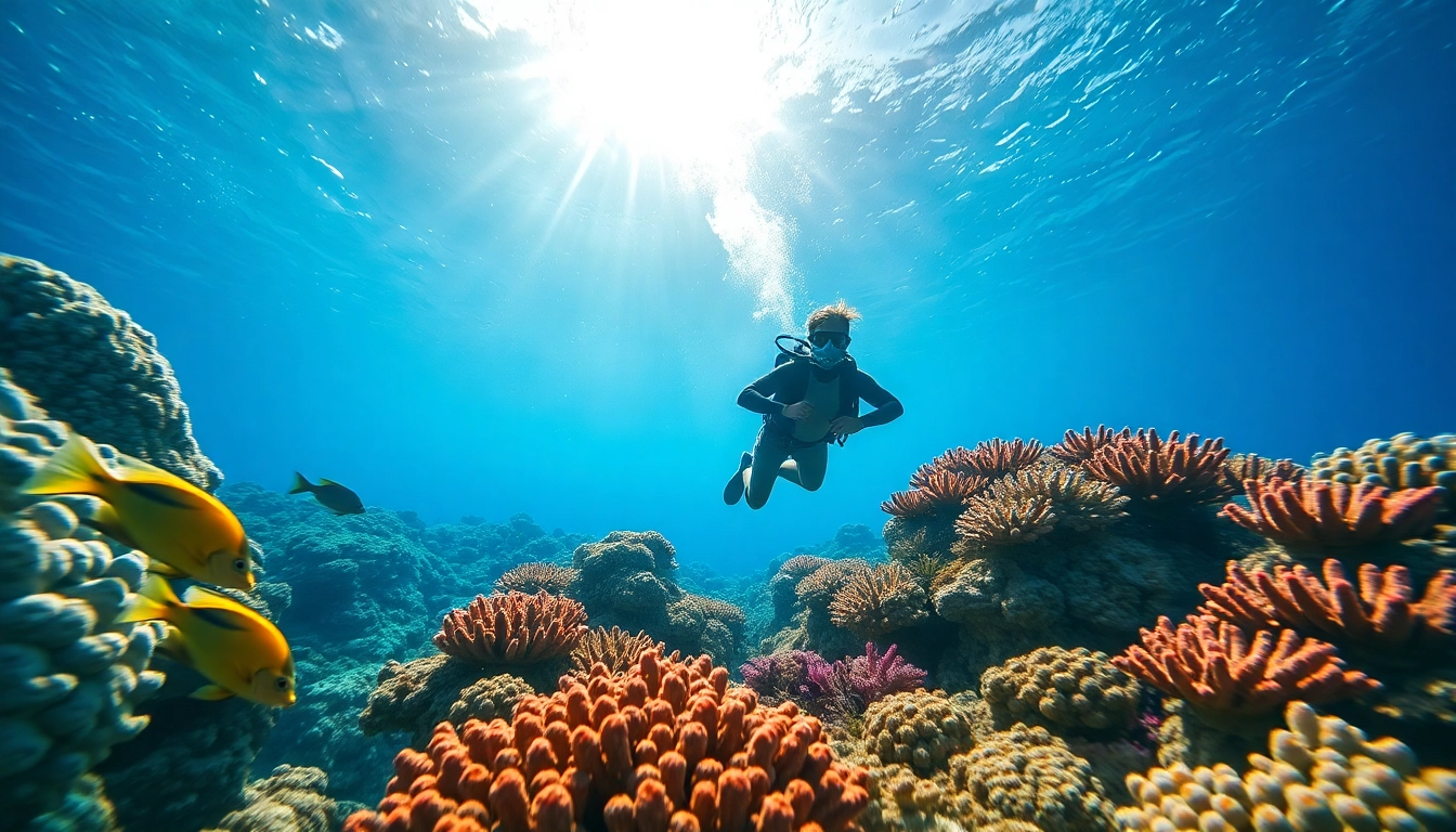 Dive into the stunning underwater life while diving in San Pedro Belize with vibrant corals and marine species.